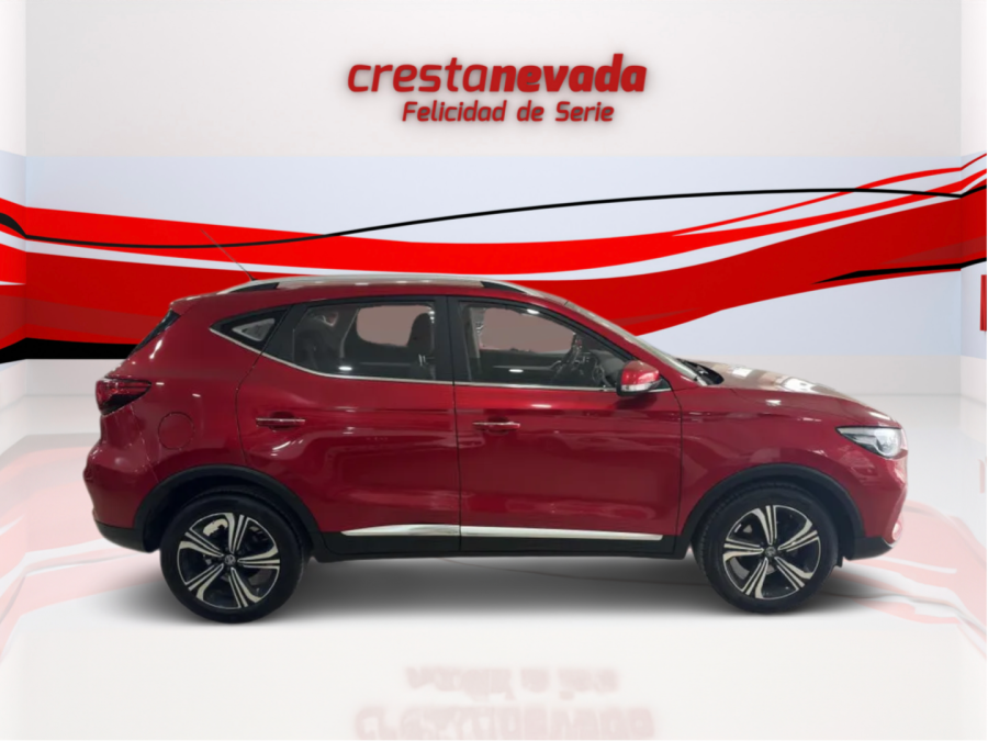Imagen de Mg ZS