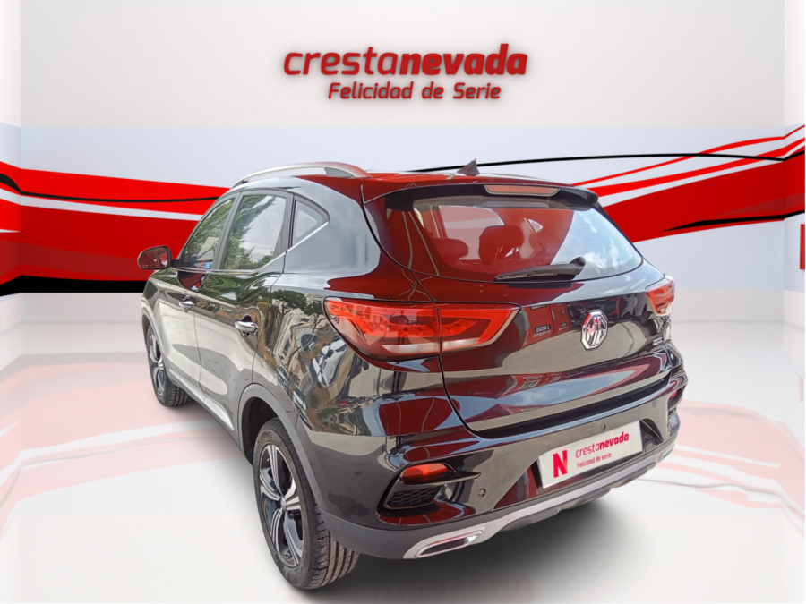 Imagen de Mg ZS