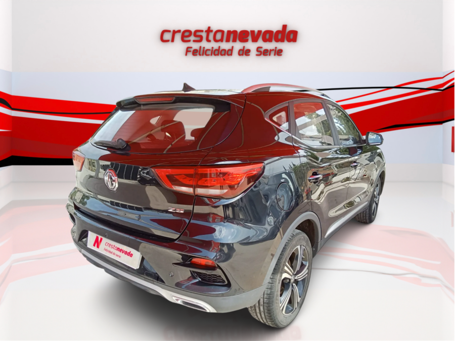 Imagen de Mg ZS