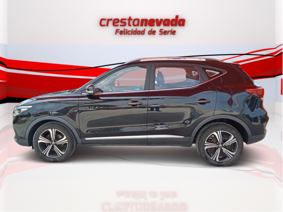 Imagen de Mg ZS