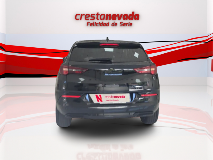 Imagen de Opel Grandland