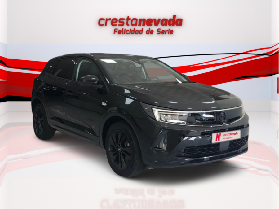 Imagen de Opel Grandland