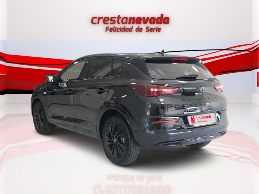 Imagen de Opel Grandland