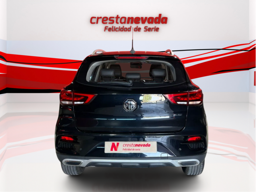 Imagen de Mg ZS