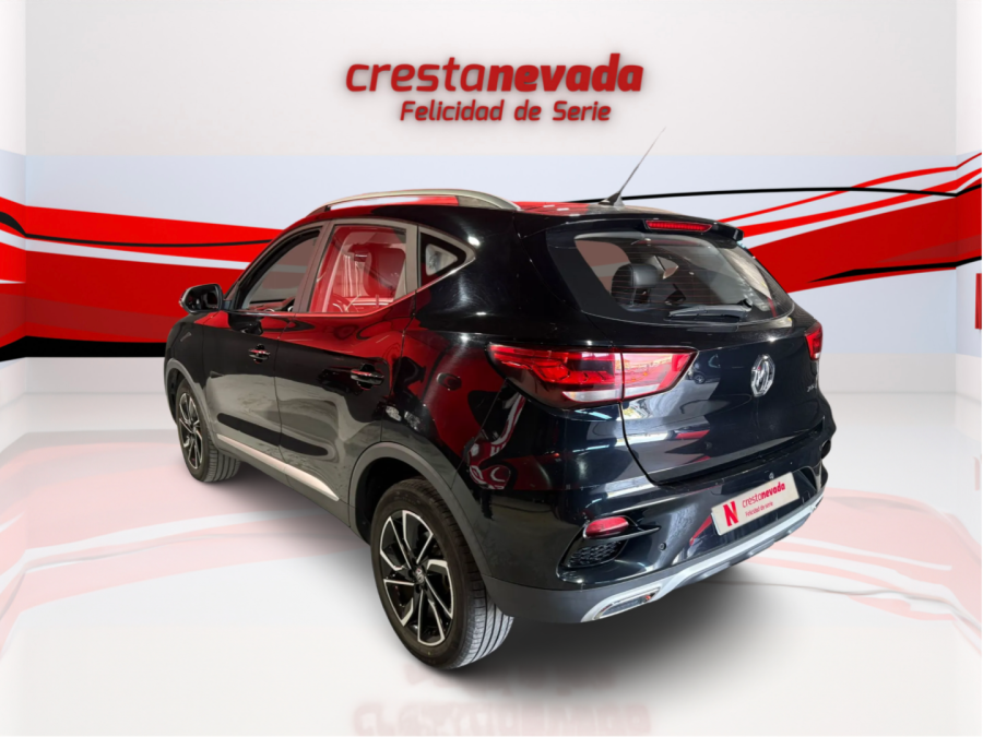Imagen de Mg ZS