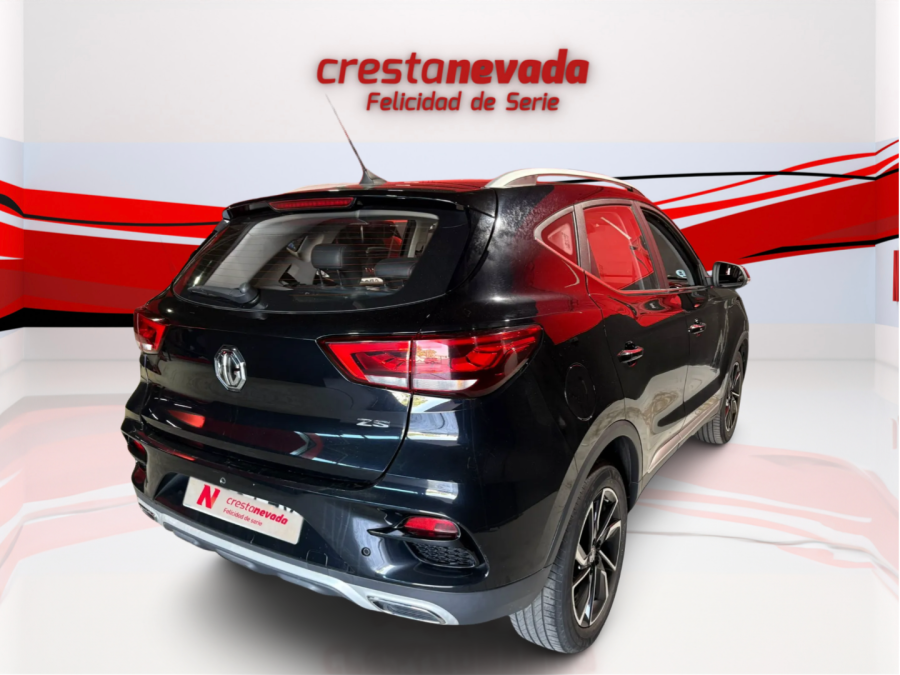Imagen de Mg ZS