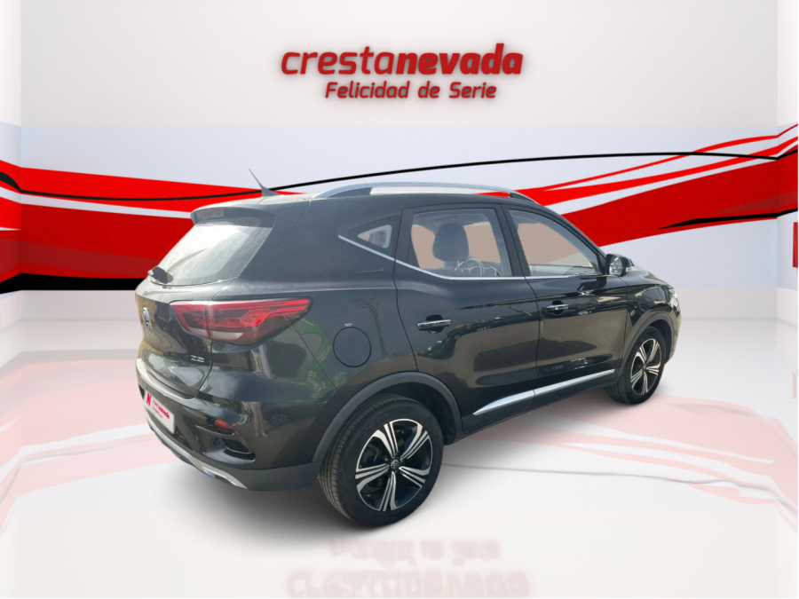 Imagen de Mg ZS