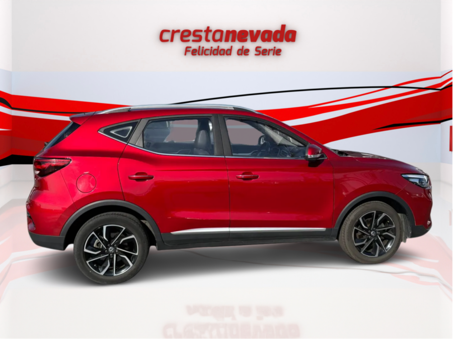Imagen de Mg ZS