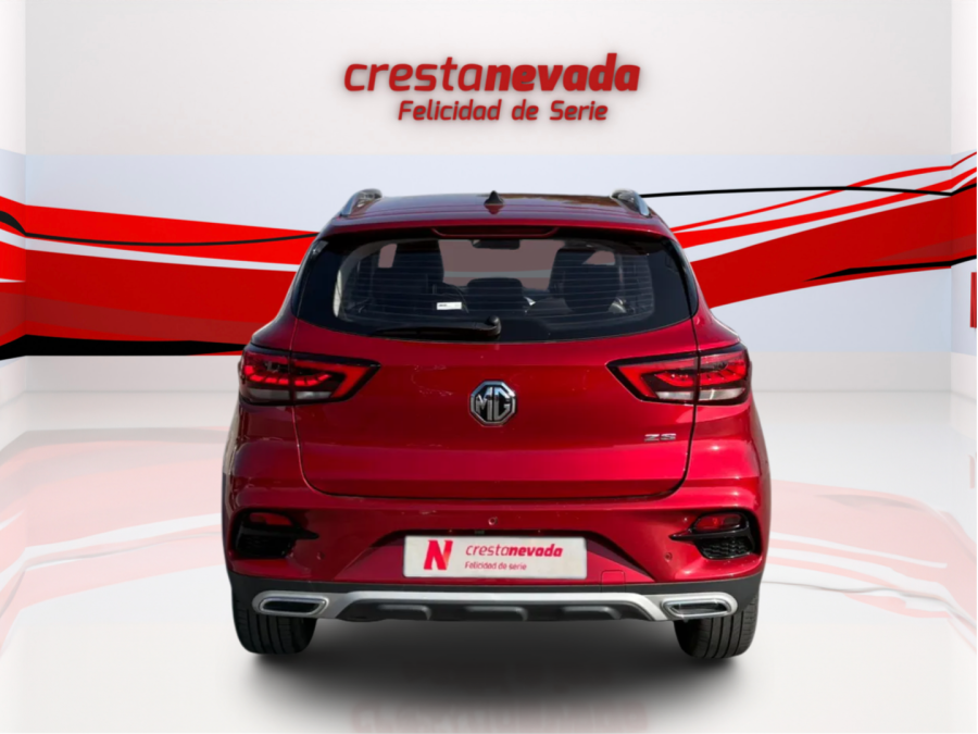 Imagen de Mg ZS