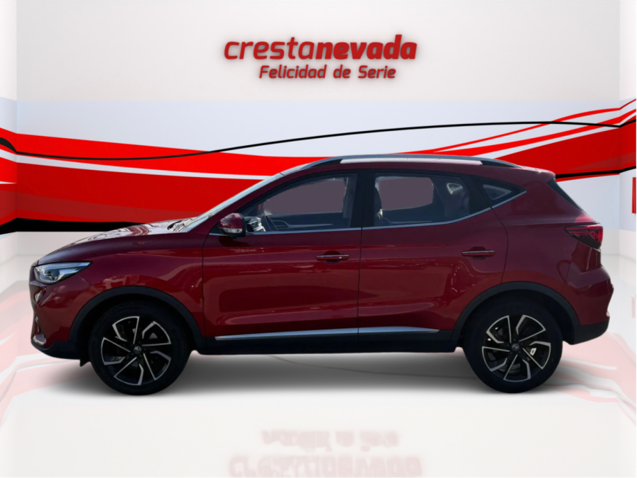 Imagen de Mg ZS