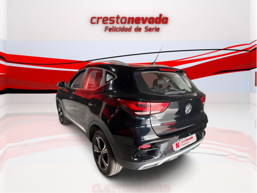 Imagen de Mg ZS