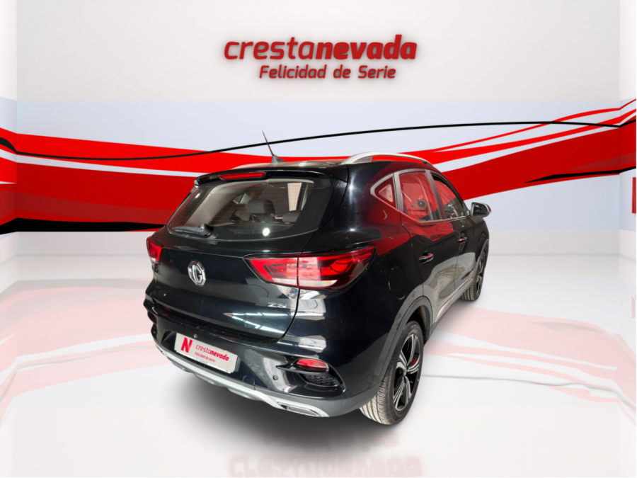 Imagen de Mg ZS