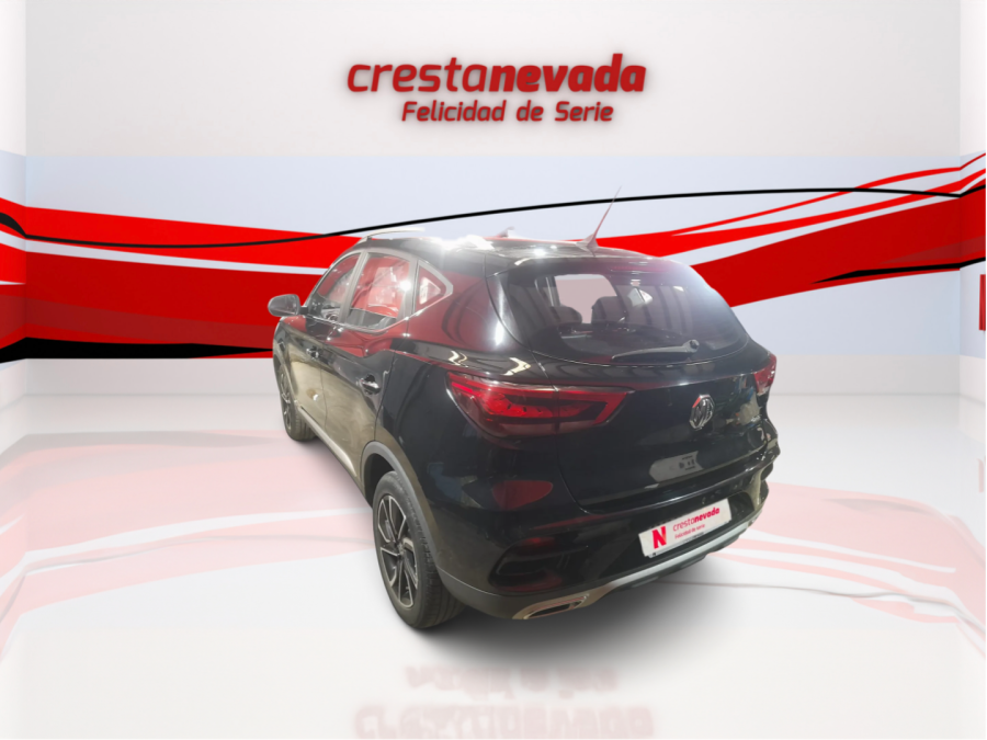 Imagen de Mg ZS