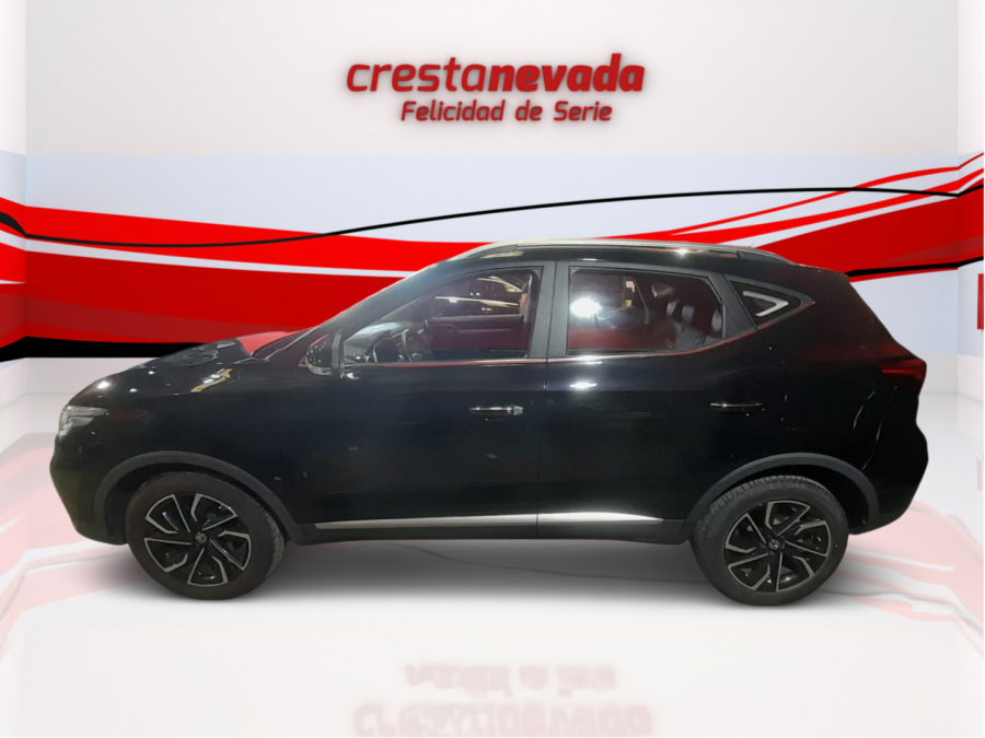 Imagen de Mg ZS