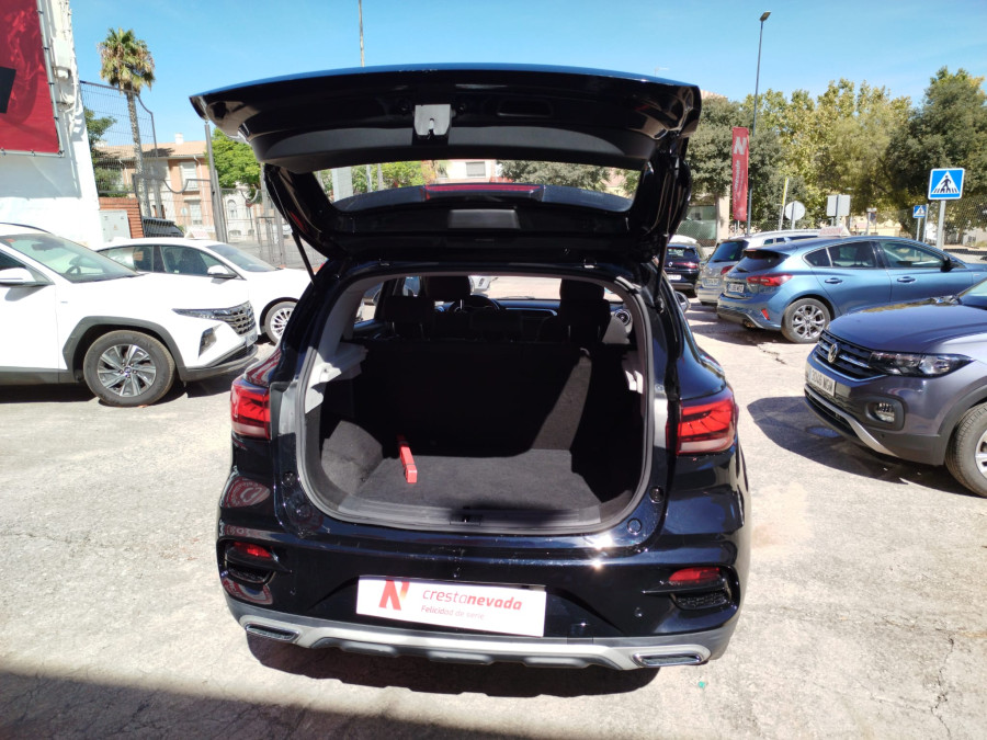 Imagen de Mg ZS