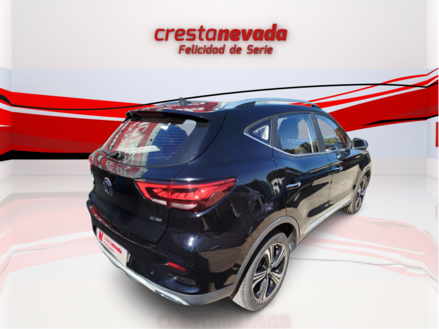 Imagen de Mg ZS