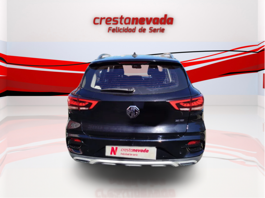 Imagen de Mg ZS