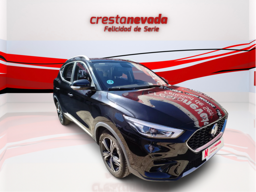 Imagen de Mg ZS