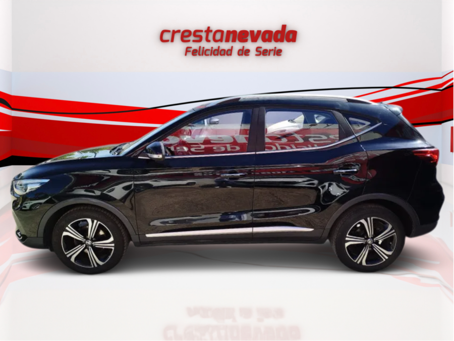 Imagen de Mg ZS
