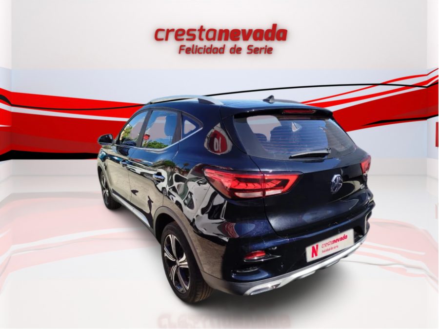 Imagen de Mg ZS