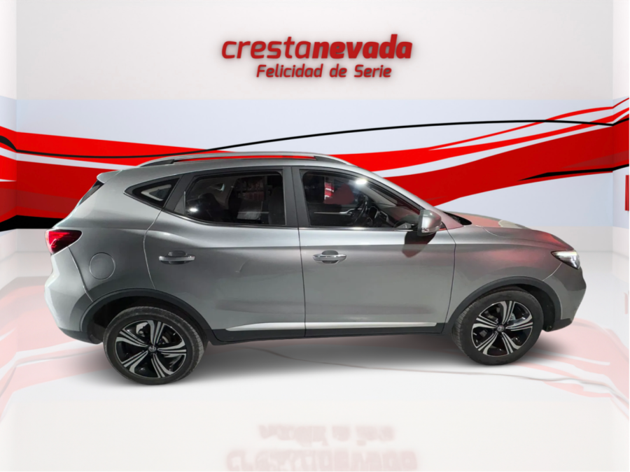 Imagen de Mg ZS