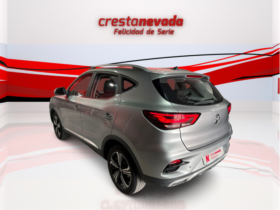 Imagen de Mg ZS