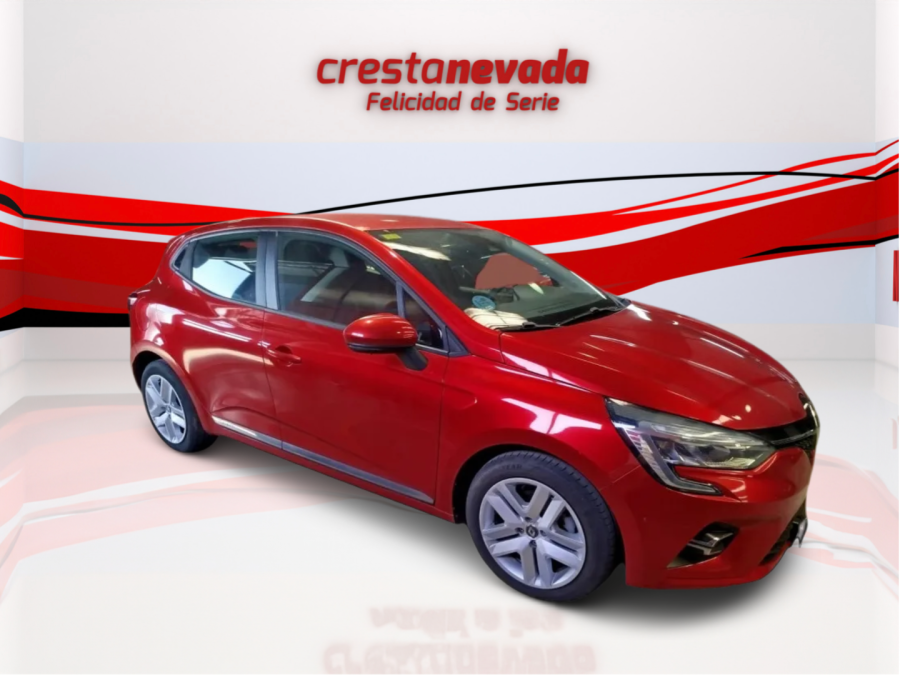 Imagen de Renault Clio