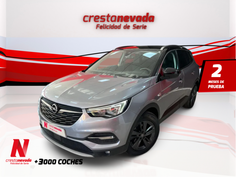 Imagen de Opel Grandland X