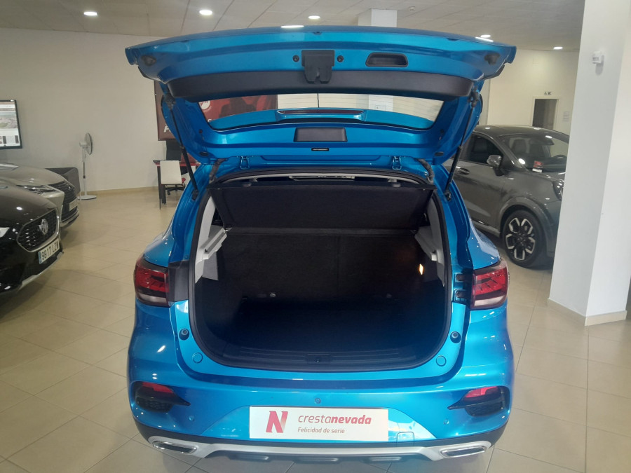 Imagen de Mg ZS