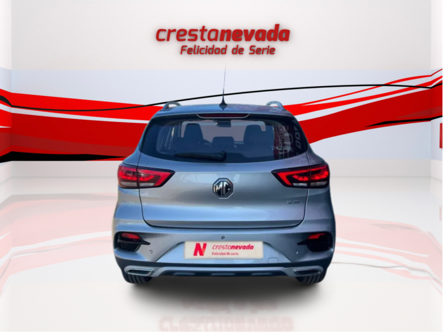 Imagen de Mg ZS