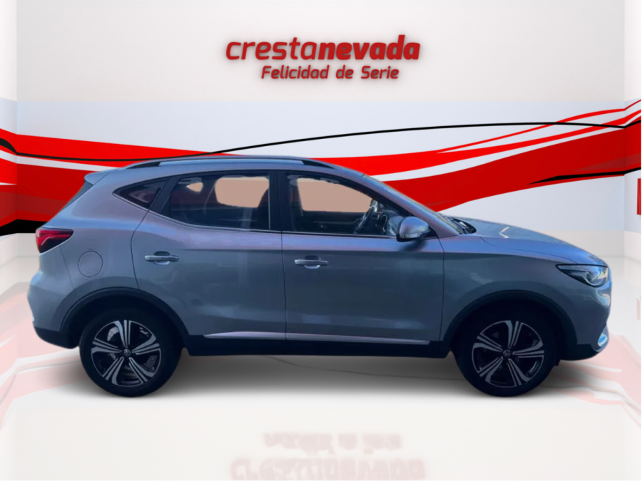 Imagen de Mg ZS