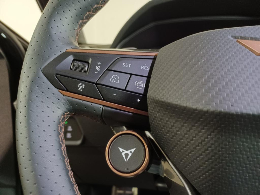 Imagen de cupra León