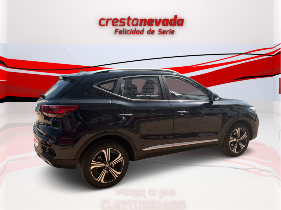 Imagen de Mg ZS