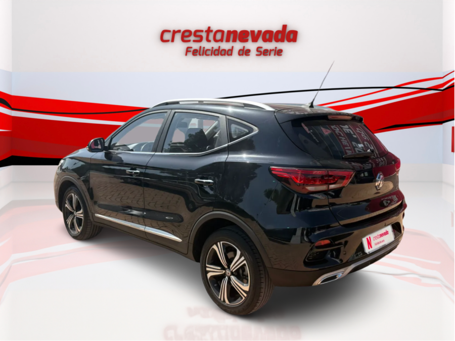 Imagen de Mg ZS