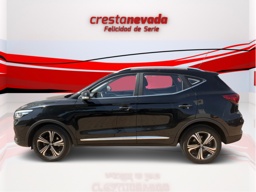Imagen de Mg ZS