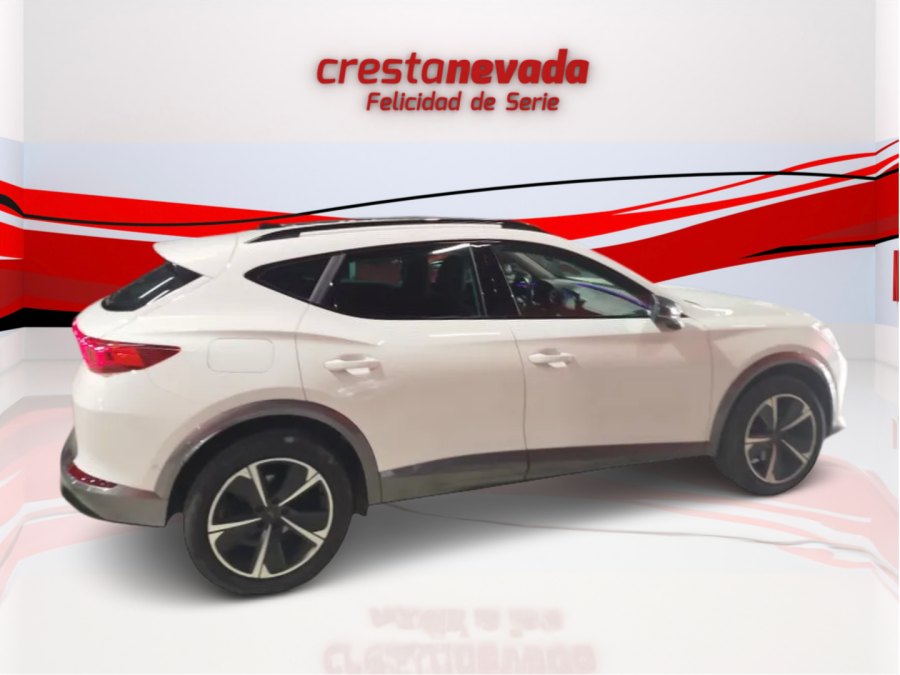 Imagen de cupra Formentor
