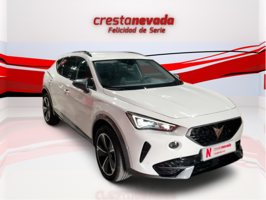 Imagen de cupra Formentor