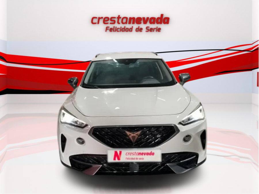 Imagen de cupra Formentor