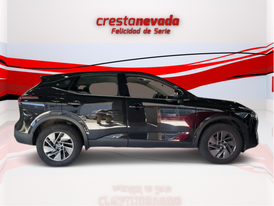 Imagen de NISSAN QASHQAI