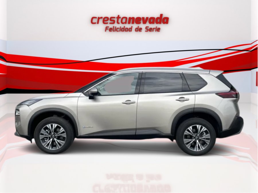 Imagen de NISSAN X-TRAIL