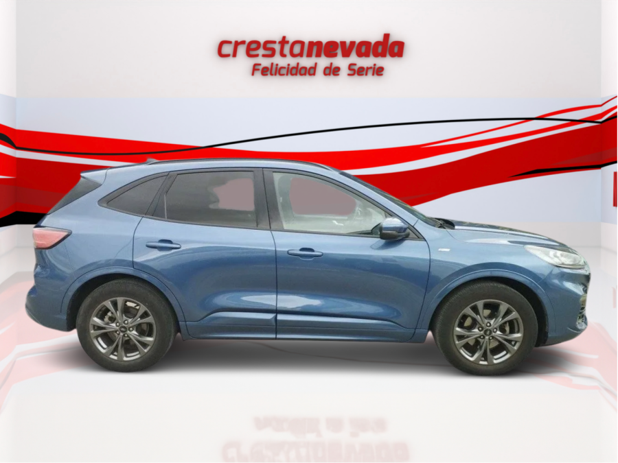 Imagen de Ford Kuga