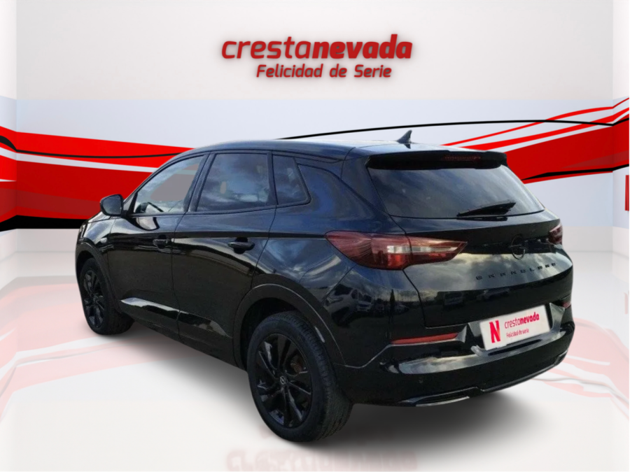 Imagen de Opel Grandland