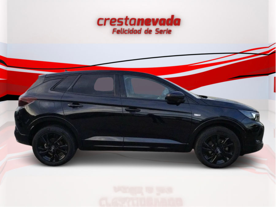 Imagen de Opel Grandland