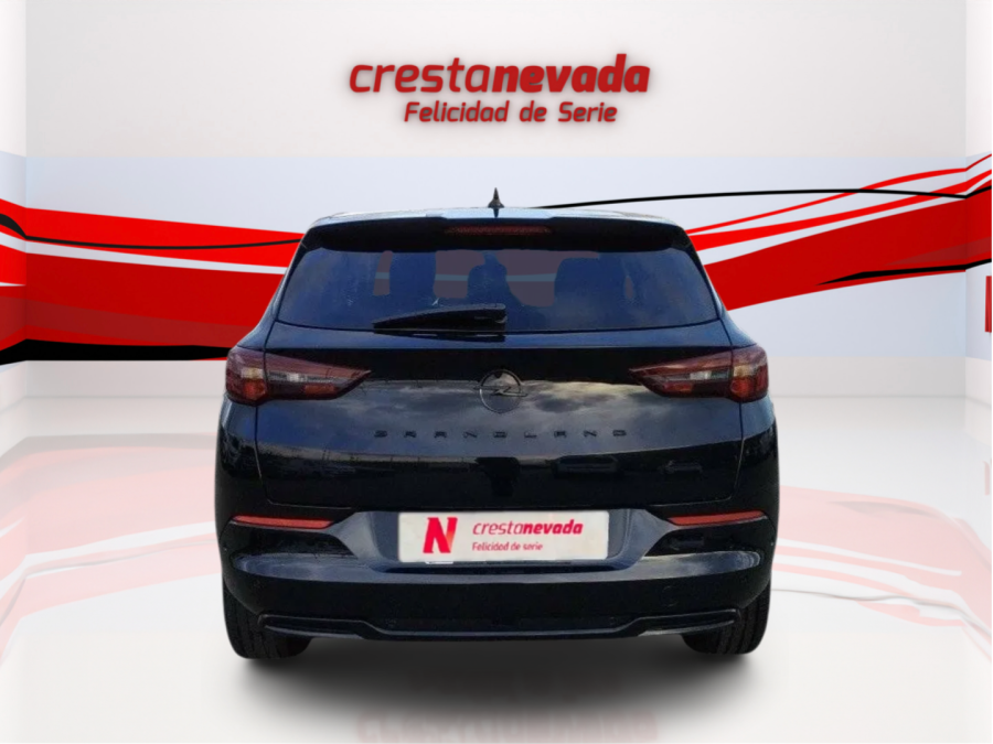 Imagen de Opel Grandland