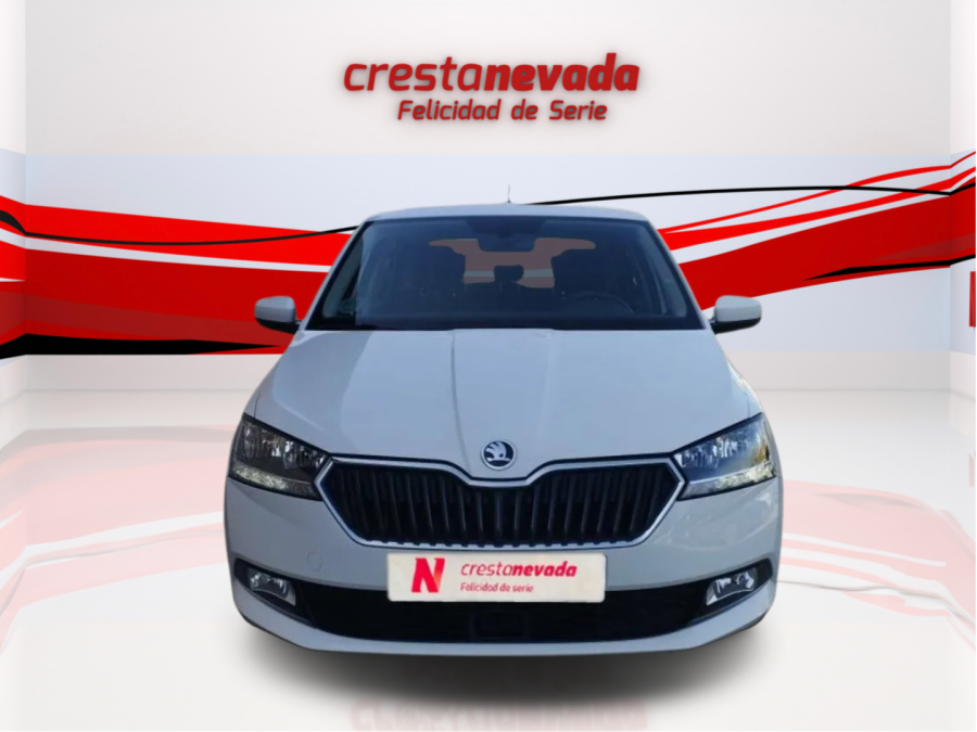 Imagen de Skoda Fabia