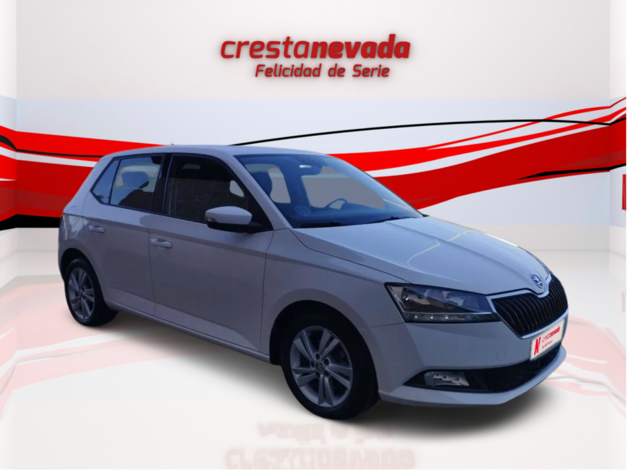 Imagen de Skoda Fabia