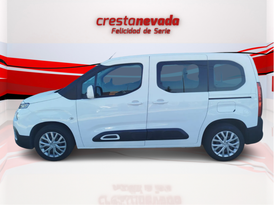 Imagen de CITROEN Berlingo