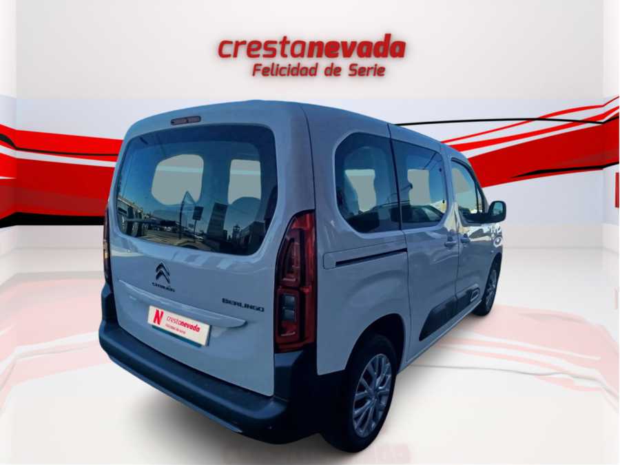 Imagen de CITROEN Berlingo