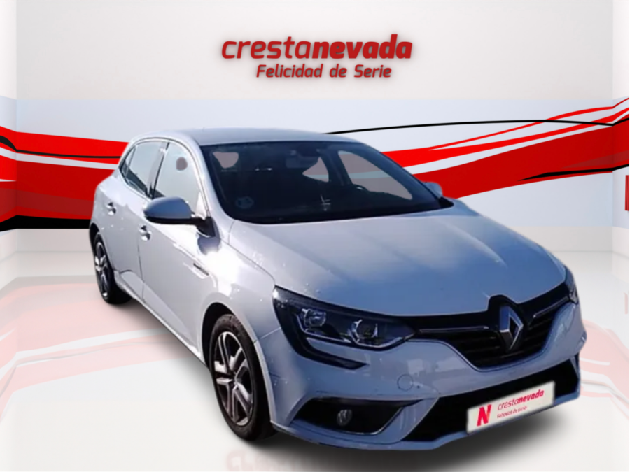 Imagen de Renault Mégane