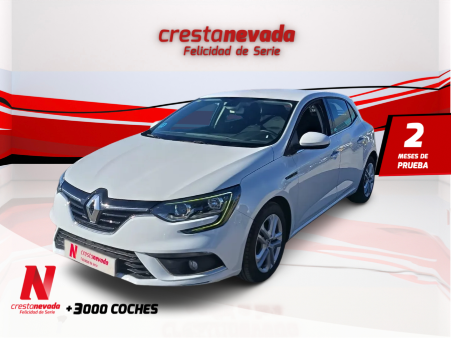 Imagen de Renault Mégane